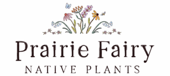 Prairie Fairy Native Plants