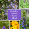 Container Garden Bundle – 6 Pack