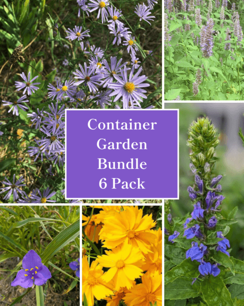 Container Garden Bundle - 6 Pack