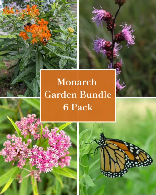 Monarch Butterfly Garden Kit - 6 Pack