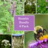 Bumble Bundle – 6 Pack