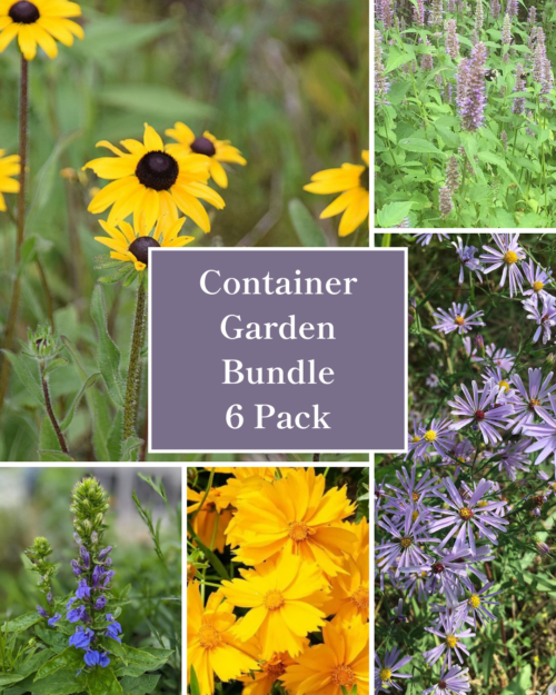 Container Garden Bundle - 6 Pack